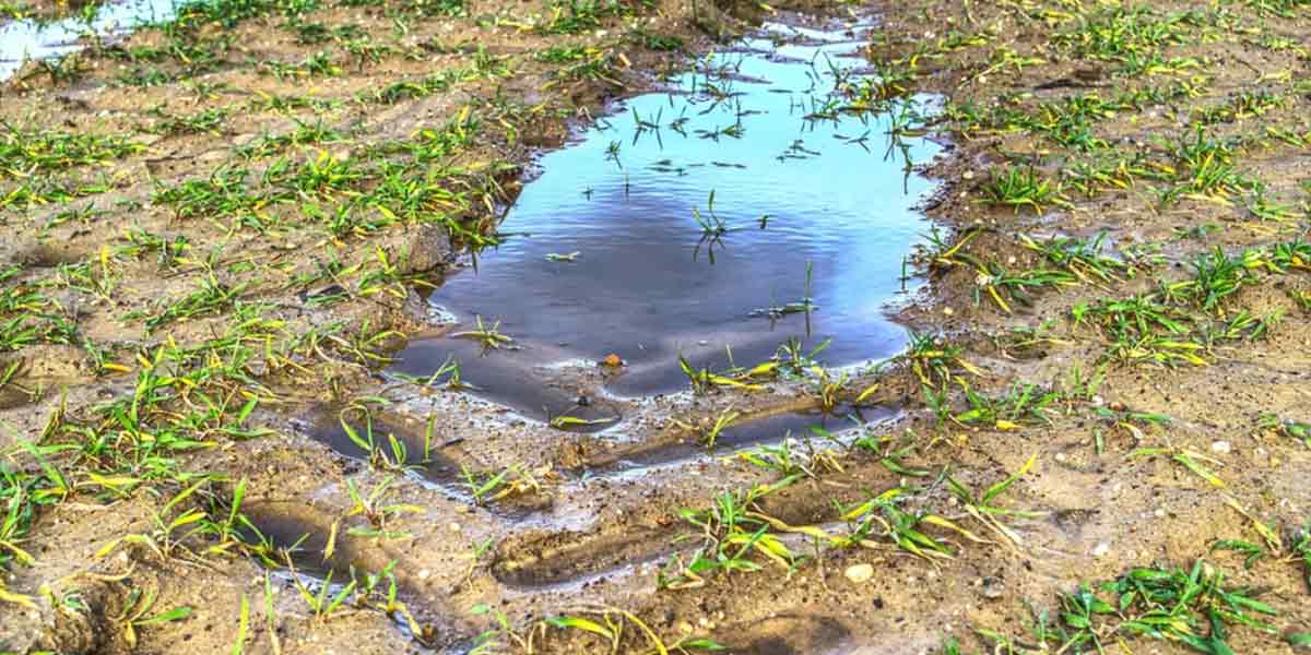 In Spagna agricoltori in manette per utilizzo di pozzi illegali